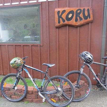 Koru Beachfront Holiday Cabins & Hot Tub Barrytown Екстер'єр фото