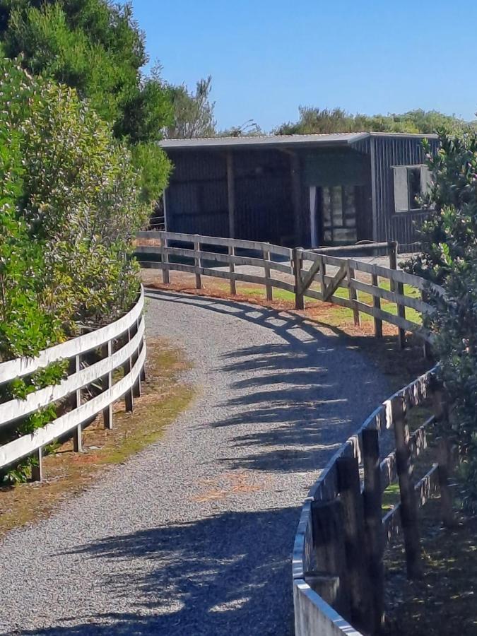 Koru Beachfront Holiday Cabins & Hot Tub Barrytown Екстер'єр фото