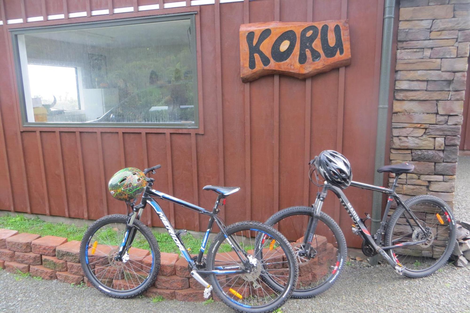 Koru Beachfront Holiday Cabins & Hot Tub Barrytown Екстер'єр фото